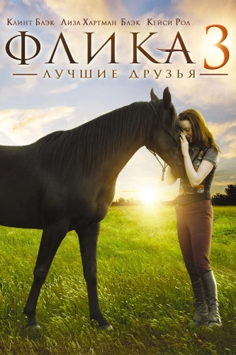 Флика 3 (2012) смотреть онлайн