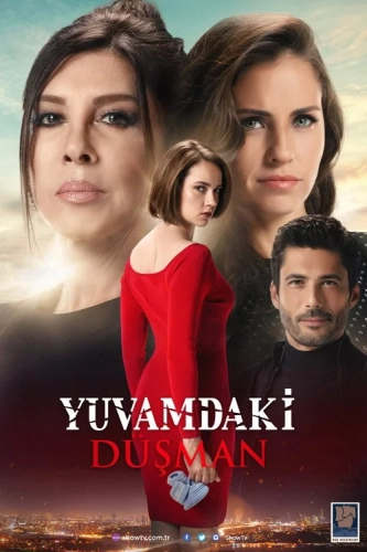 Враг в моем доме (2018) смотреть онлайн