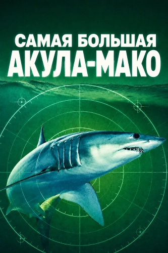 Самая большая акула-мако